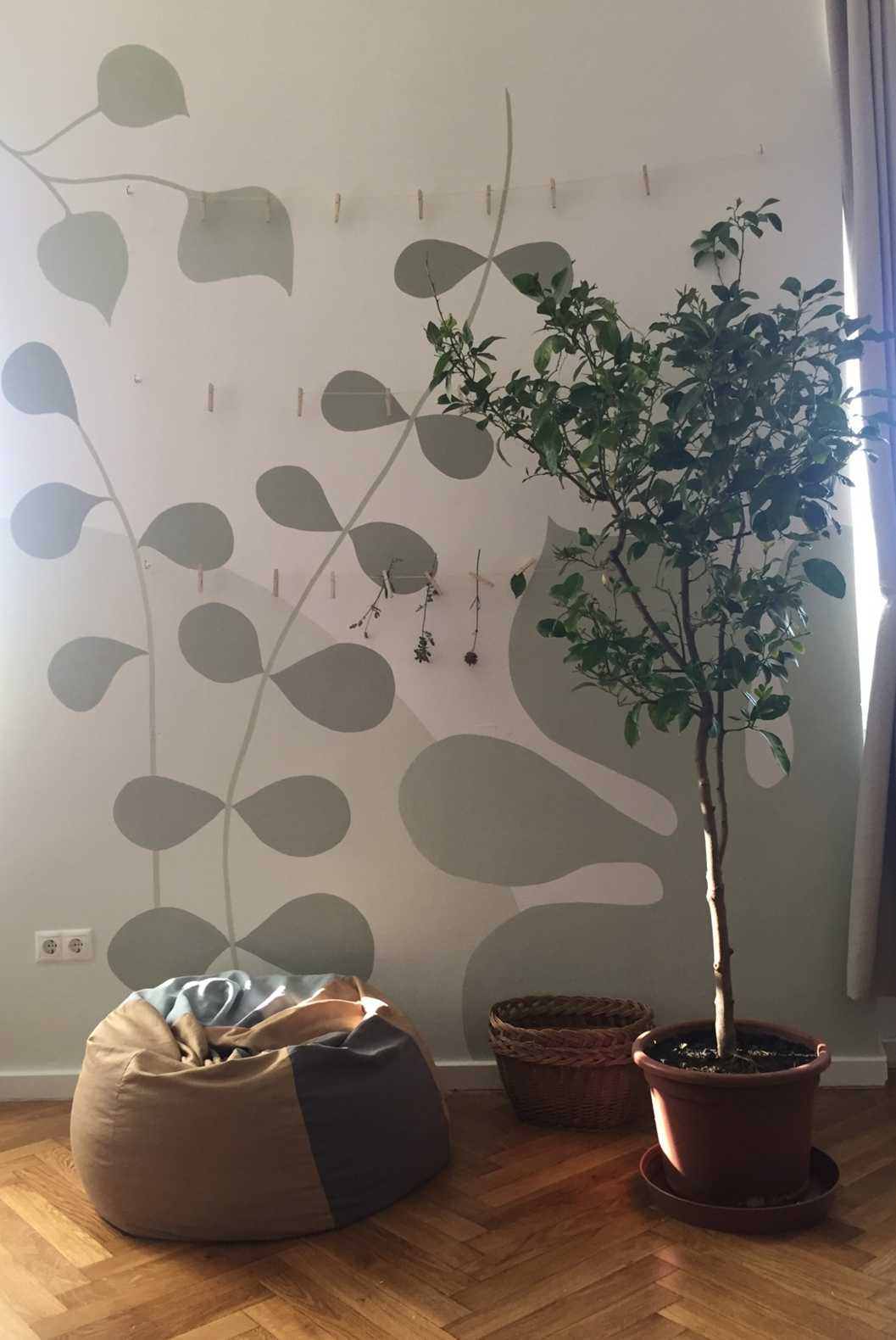 kszj Erasmus+