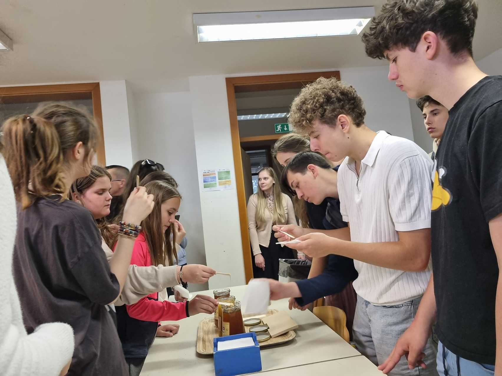 kszj Erasmus+