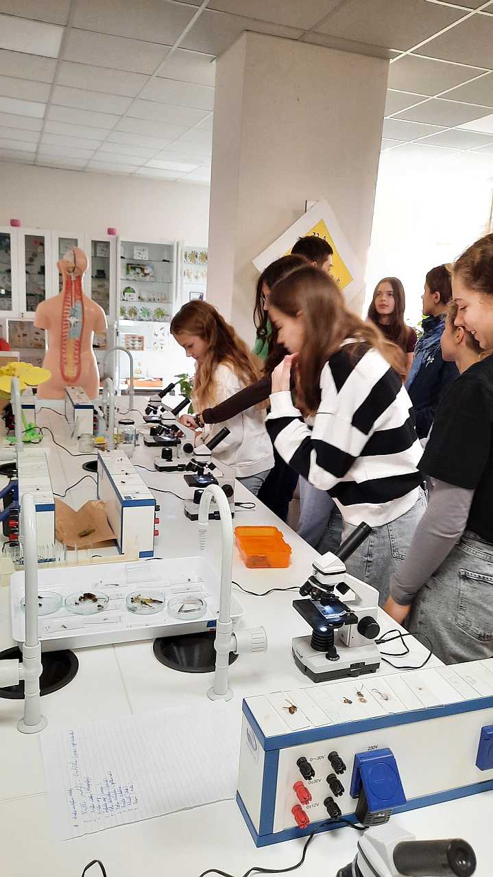 kszj Erasmus+