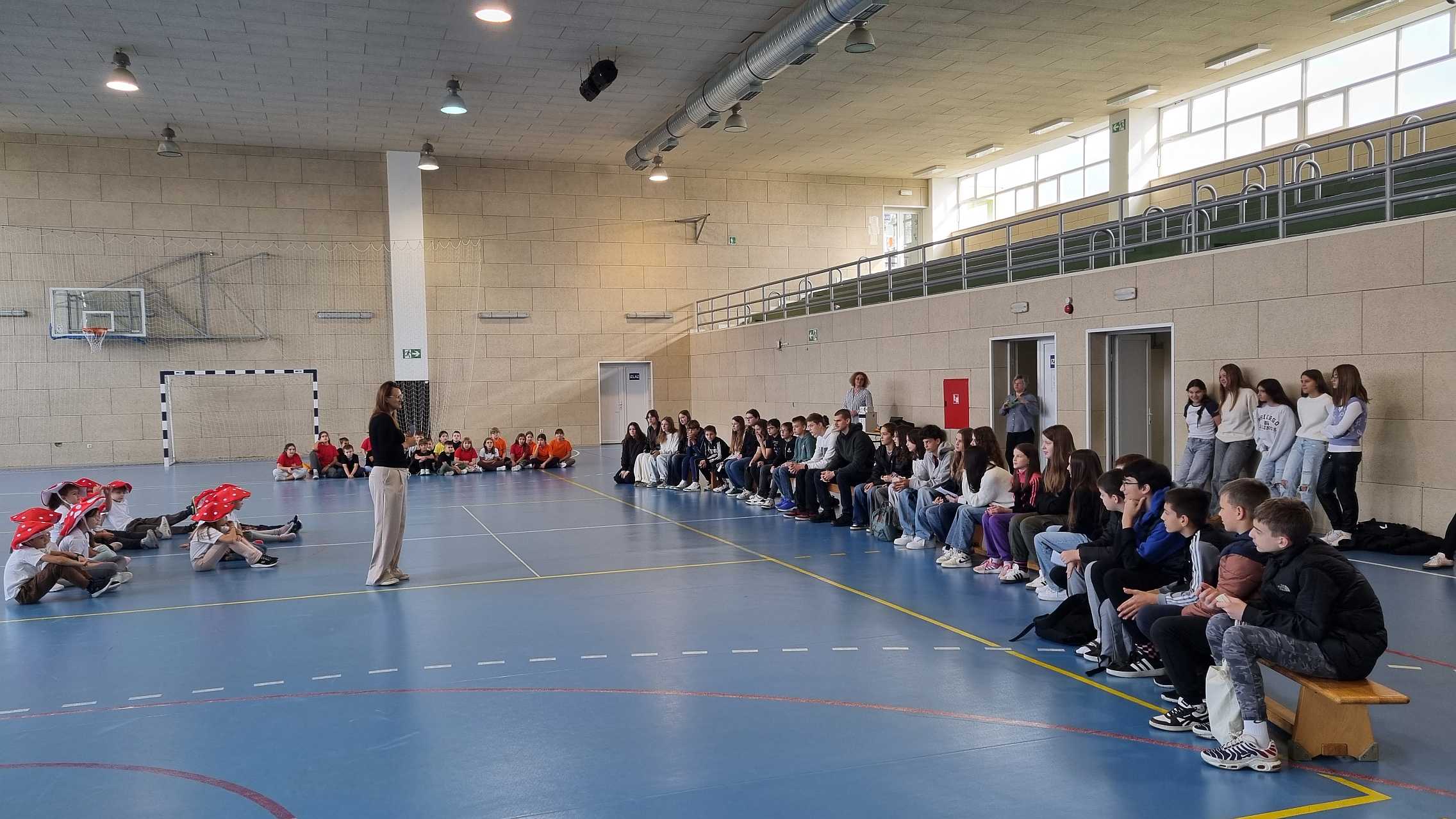 kszj Erasmus+